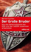 Cover: Der gro&szlig;e Bruder - Das Neue Berlin