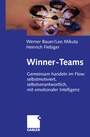 Cover: Winner-Teams - Springer Gabler
