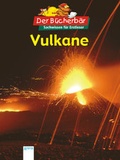 Cover: Vulkane - Arena
