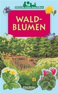 Cover: Waldblumen - Arena