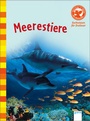 Cover: Meerestiere - Arena