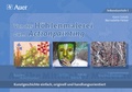 Cover: Von der H&ouml;hlenmalerei zum Actionpainting - Auer Verlag in der AAP Lehrerwelt GmbH
