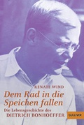 Cover: Dem Rad in die Speichen fallen - Gulliver
