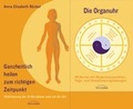 Cover: Ganzheitlich heilen zum richtigen Zeitpunkt-Set - Irisiana