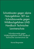 Cover: Schutzbauten gegen alpine Naturgefahren - Ernst & Sohn