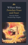Cover: Zwischen Feuer und Feuer - dtv
