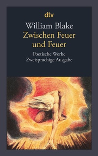 Abbildung von: Zwischen Feuer und Feuer - dtv