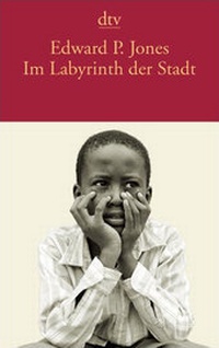Abbildung von: Im Labyrinth der Stadt - dtv