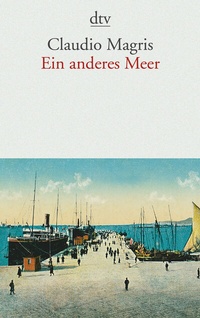 Abbildung von: Ein anderes Meer - dtv