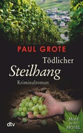 Cover: T&ouml;dlicher Steilhang - dtv