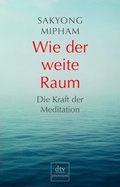 Cover: Wie der weite Raum - dtv