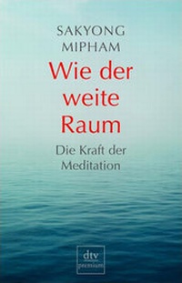 Enlarge image Cover: Wie der weite Raum - dtv