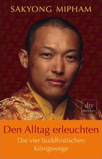 Enlarge image Cover: Den Alltag erleuchten - dtv