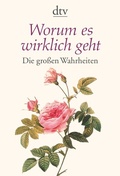 Cover: Worum es wirklich geht - dtv