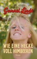 Cover: Wie eine Hecke voll Himbeeren - dtv