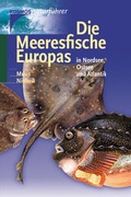 Cover: Die Meeresfische Europas in Nordsee, Ostsee und Atlantik - Kosmos
