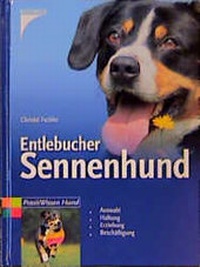 Bild vergrößern Bild: Entlebucher Sennenhund - Kosmos