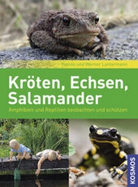 Abbildung von: Kröten, Echsen, Salamander - Kosmos