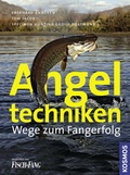 Cover: Angeltechniken - Kosmos