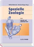 Cover: Spezielle Zoologie / Einzeller und wirbellose Tiere - Urban & Fischer