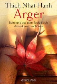 Enlarge image Cover: Ärger - Goldmann