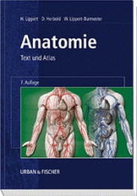 Enlarge image Cover: Anatomie - Urban & Fischer