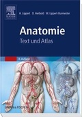 Cover: Anatomie - Urban & Fischer