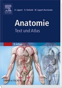 Enlarge image Cover: Anatomie - Urban & Fischer