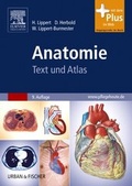 Cover: Anatomie - Urban & Fischer