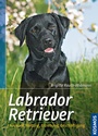 Cover: Labrador Retriever - Kosmos
