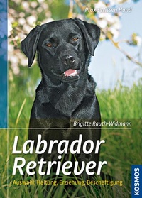 Enlarge image Cover: Labrador Retriever - Kosmos
