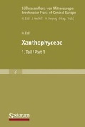 Cover: S&uuml;sswasserflora von Mitteleuropa / Xanthophyceae - Urban & Fischer