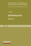 Cover: S&uuml;sswasserflora von Mitteleuropa / Schizomycetes-Bakterien - Urban & Fischer
