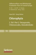 Cover: S&uuml;sswasserflora von Mitteleuropa / Chlorophyta II - Urban & Fischer