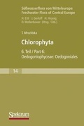 Cover: S&uuml;sswasserflora von Mitteleuropa / Chlorophyta VI - Urban & Fischer