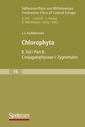 Cover: S&uuml;sswasserflora von Mitteleuropa / Conjugatophyceae I. Chlorophyta VIII Zygnemales - Urban & Fischer