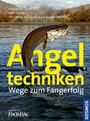 Cover: Angeltechniken - Kosmos