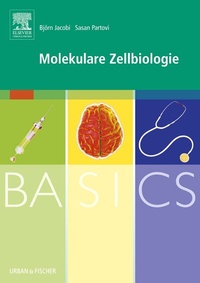 Abbildung von: BASICS Molekulare Zellbiologie - Urban & Fischer