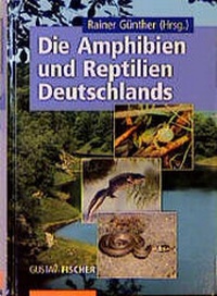 Abbildung von: Die Amphibien und Reptilien Deutschlands - Urban & Fischer