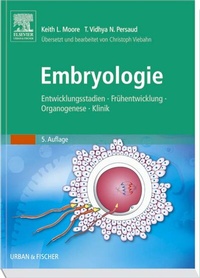 Abbildung von: Embryologie - Urban & Fischer
