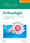 Bild: Embryologie - Urban & Fischer