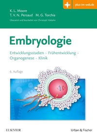 Abbildung von: Embryologie - Urban & Fischer
