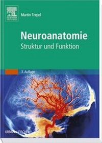 Bild vergrößern Bild: Neuroanatomie - Urban & Fischer