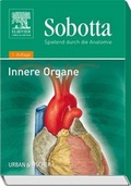 Cover: Spielend durch die Anatomie / Sobotta, Spielend durch die Anatomie - Urban & Fischer