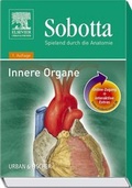 Cover: Sobotta, Spielend durch die Anatomie mit StudentConsult-Zugang - Urban & Fischer