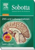 Cover: Sobotta, Spielend durch die Anatomie - Urban & Fischer