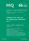 Cover: MIQ 06b: Infektionen der Haut und der subkutanen Weichteile - Urban & Fischer