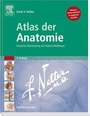 Bild: Atlas der Anatomie - Urban & Fischer