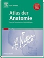 Bild: Atlas der Anatomie - Urban & Fischer