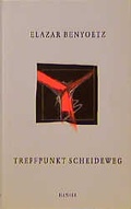 Cover: Treffpunkt Scheideweg - Hanser